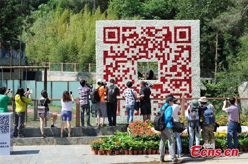 Les visiteurs sont attirés par un code QR à deux dimensions géant, constitué de plus de 20 000 fleurs et dans lequel on aperçoit le panda géant Sijia, au Yunnan Safari Park dans la Province du Yunnan en Chine du Sud, le 19 mai 2014. [Photo/China News Service].
