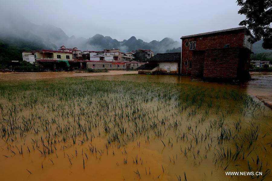 Chine : les pluies torrentielles font huit morts et deux disparus au Guangdong
