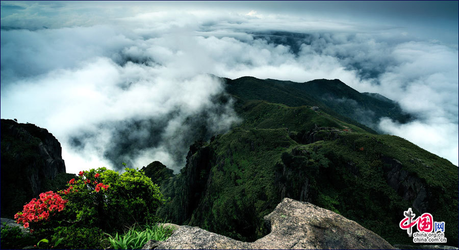 En images. Parc national de forêt Guposhan au Guangxi