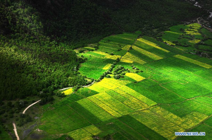 Chine: beaux paysages dans la préfecture de Nyingchi au Tibet