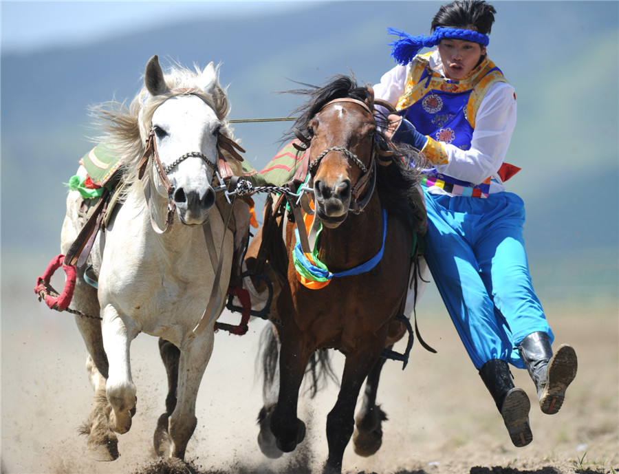 Parade impressionnante d’un cavalier lors cours du traditionnel concours équestre. 