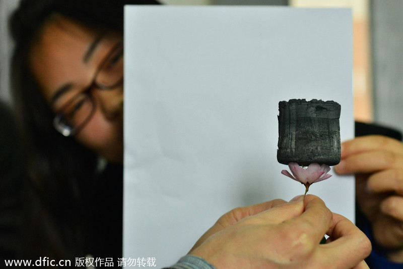 Sur ce cliché pris à l'université de Zhejiang, le 19 Mars 2013, on aperçoit Gao Chao, professeur du département de la macromolécule et sciences de l'ingénieur, tenant le «Carbone Aerogel», qui peut absorber 900 fois son propre poids en huile. [Photo/IC]