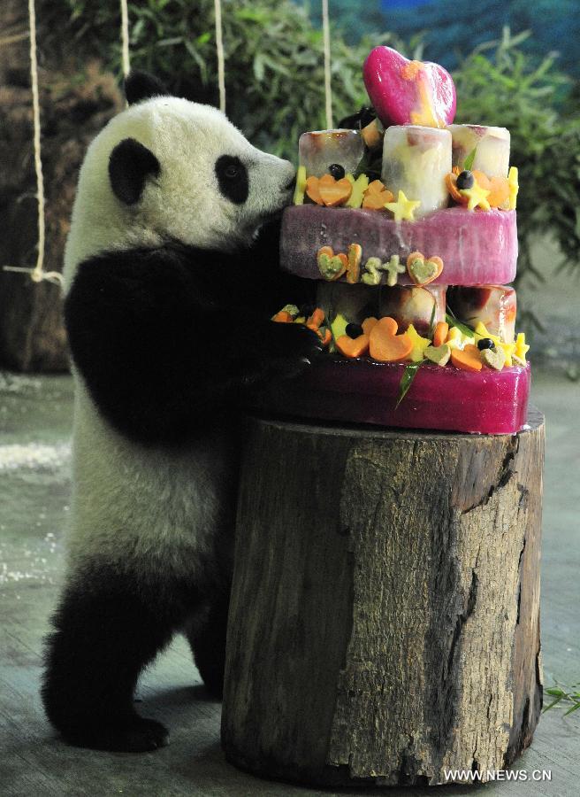 Yuan Zai fête son premier anniversaire
