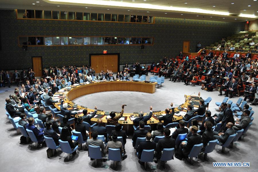 Le Conseil de sécurité de l'ONU demande un accès sécurisé et sans entrave au site du crash du MH17 