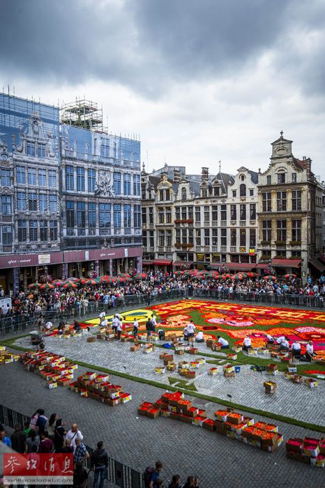 Le 19e tapis de fleurs de Bruxelles