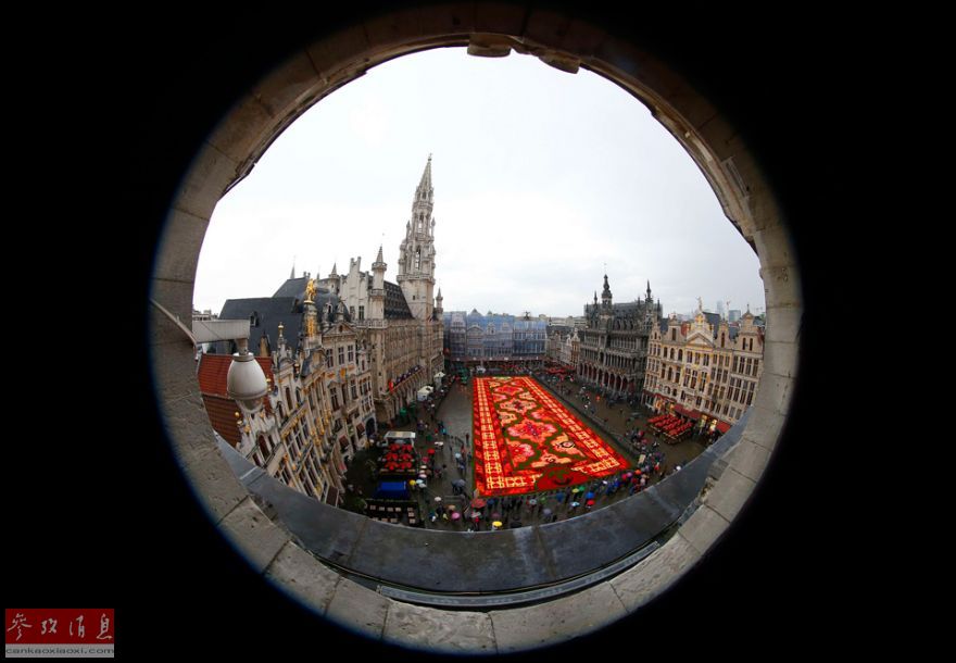 Le 19e tapis de fleurs de Bruxelles