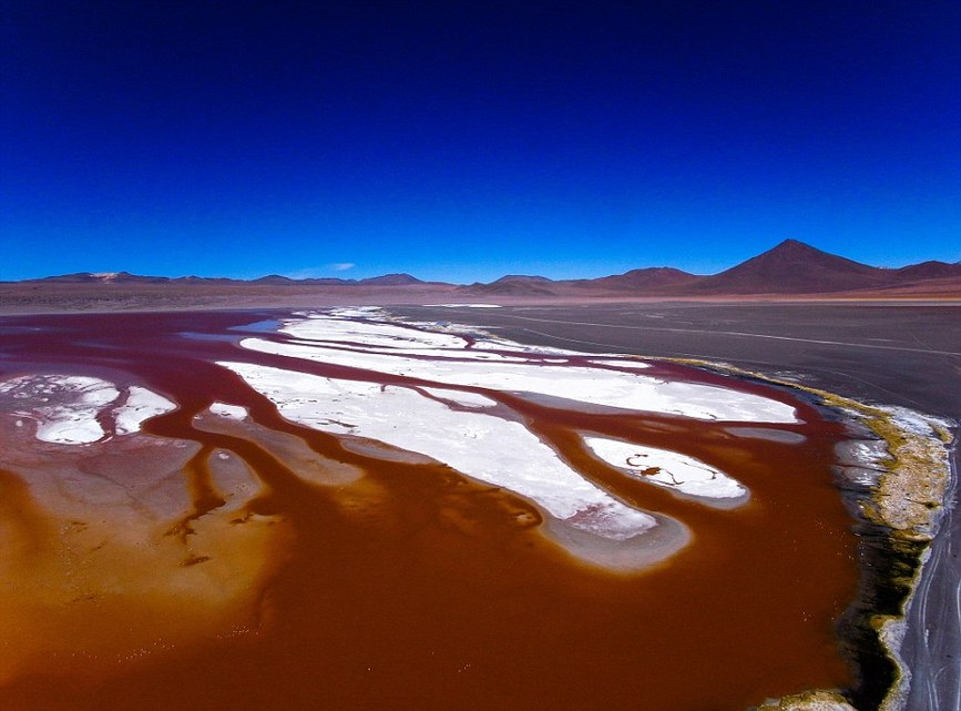  La laguna Colorada, Bolivie
