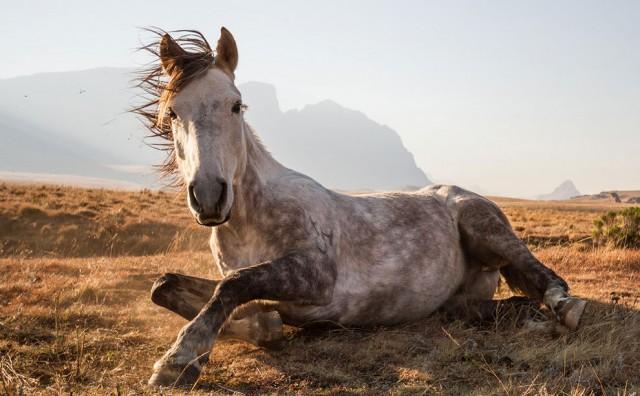 Derrière chaque photo, une histoire