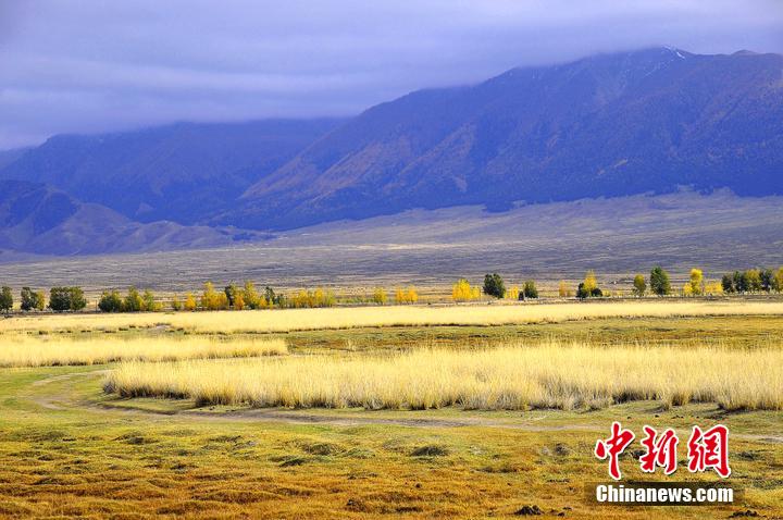 Xinjiang : l'automne coloré des prairies de Balikun et de Nailenggeer