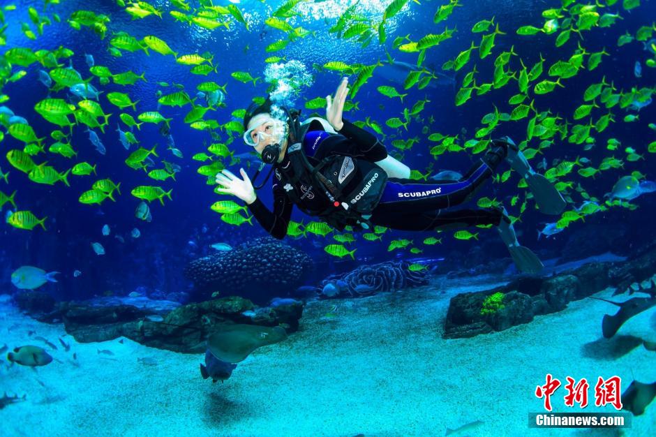 Des candidates du concours « Miss China » jouent avec des baleines sous la mer