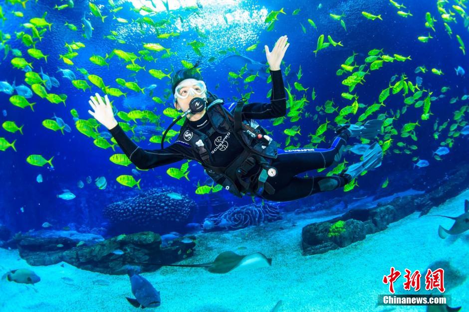 Des candidates du concours « Miss China » jouent avec des baleines sous la mer