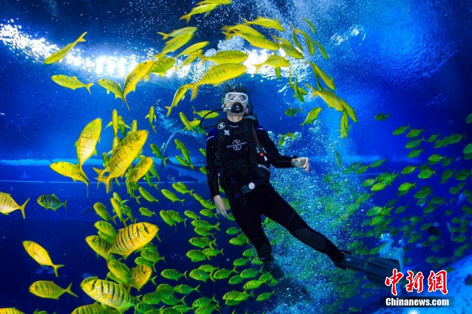 Des candidates du concours « Miss China » jouent avec des baleines sous la mer