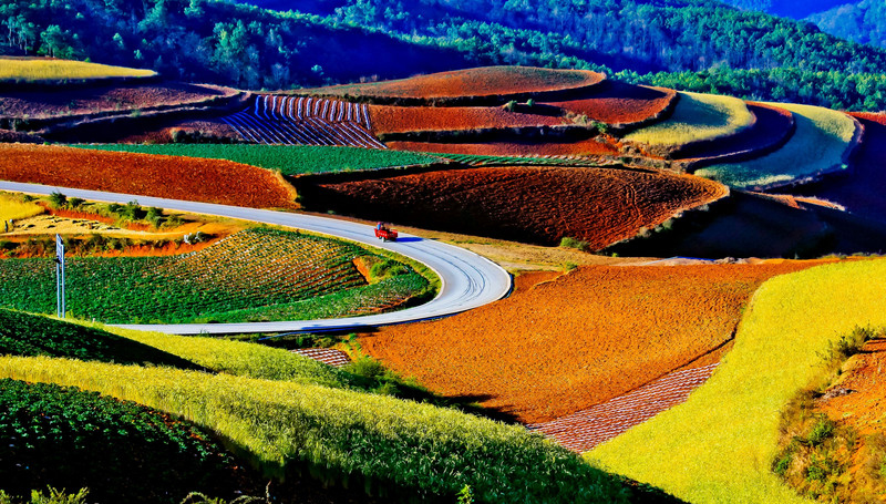 Des champs en terrasses colorés à Dongguan, dans la province du Guangdong, dans le sud de la Chine.