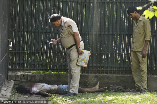 Un tigre blanc tue un visiteur au zoo de New Delhi