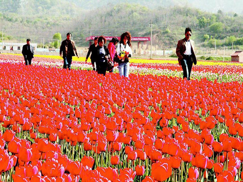 La Vallée des fleurs du Mont Qingling