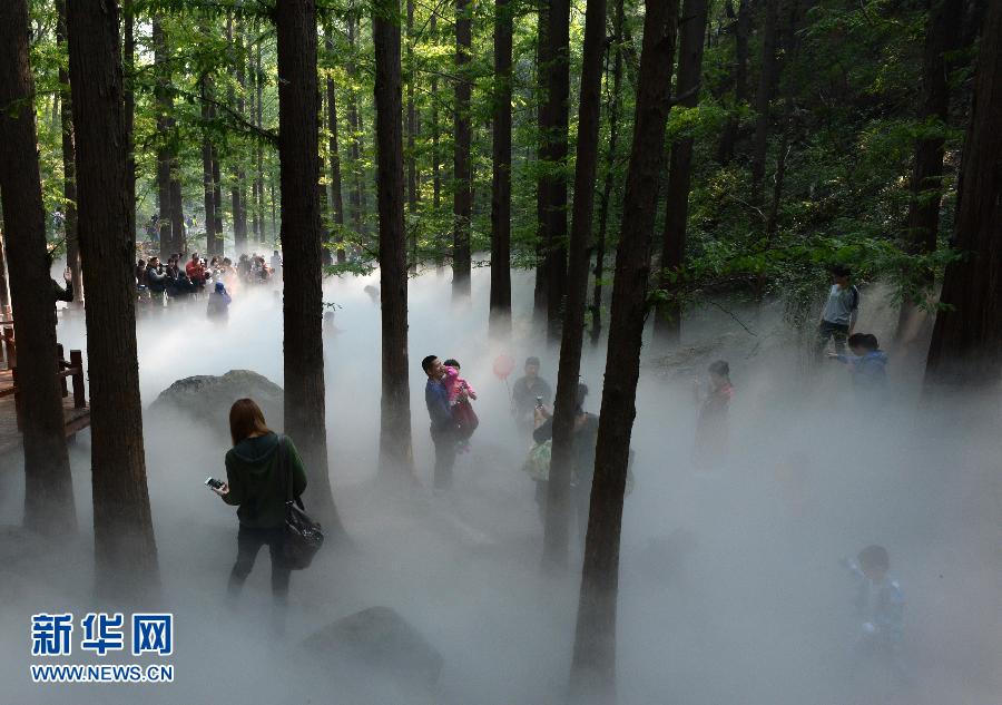 « Une forêt de brume » à Beijing