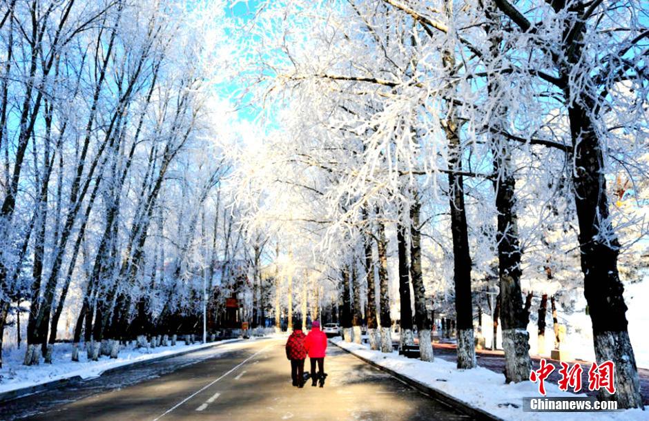 Heilongjiang : superbes images du givre à Daxing'anling 