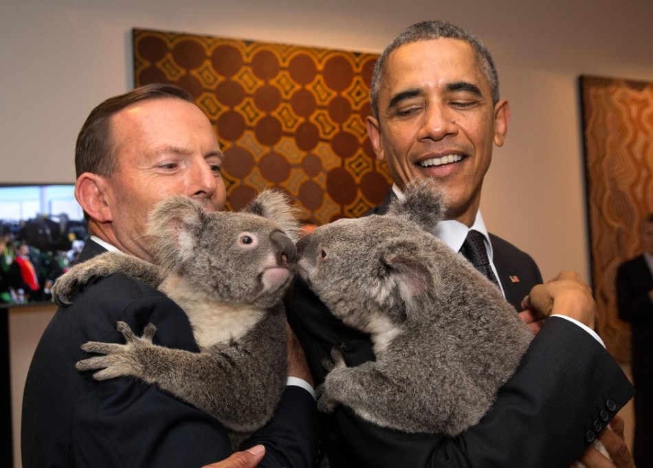 Le président américain Barack Obama et le Premier ministre australien Tony Abbott prennent respectivement un koala dans leurs bras (Photo du 15 novembre 2014 à Brisabne).