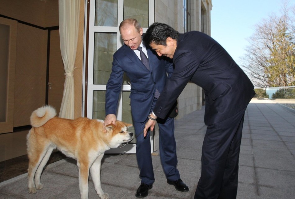 Cliché du 8 février 2014 à Sotchi, où le président russe Vladimir Poutine rencontrait en compagnie de son Chien Yumi, le Premier ministre japonais Shinzo Abe, l’animal ayant été offert par ce dernier il y a un an et demi. 