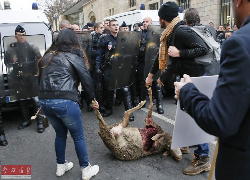 Des bergers et 300 moutons crient au loup au pied de la Tour Eiffel