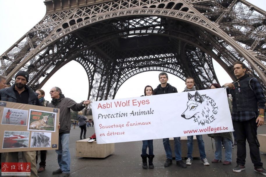 Des bergers et 300 moutons crient au loup au pied de la Tour Eiffel