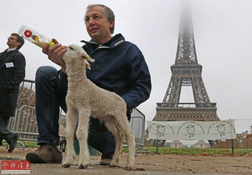 Des bergers et 300 moutons crient au loup au pied de la Tour Eiffel