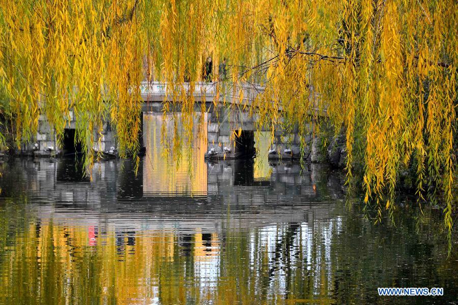 Chine: paysage au bord du lac Daming à Ji'nan