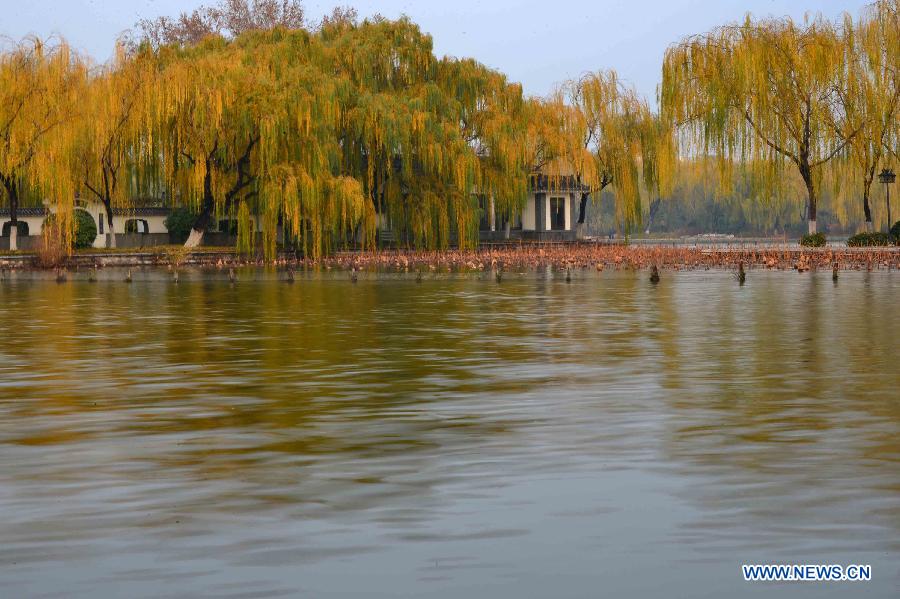 Chine: paysage au bord du lac Daming à Ji'nan