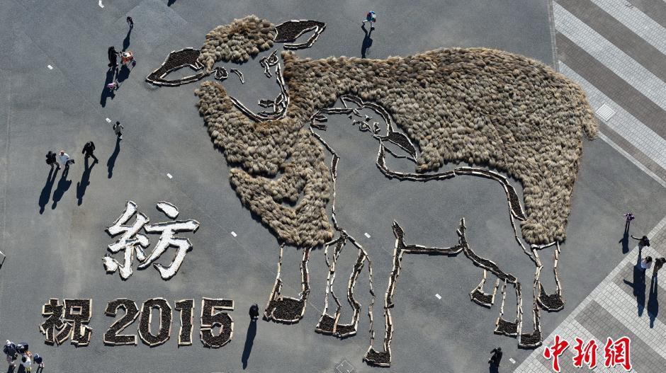 Comptons les moutons en 2015