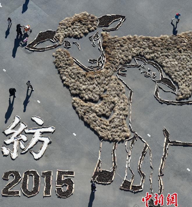Comptons les moutons en 2015