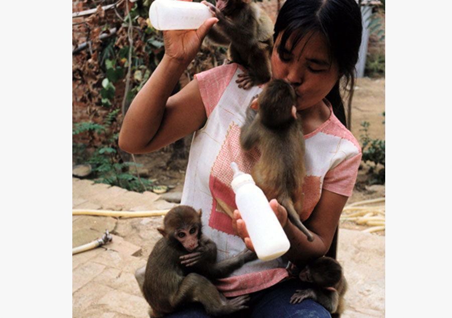 La vie des entraîneurs de singes 