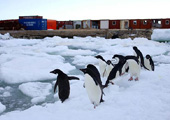 Antarctique : la station Zhongshan en plein été