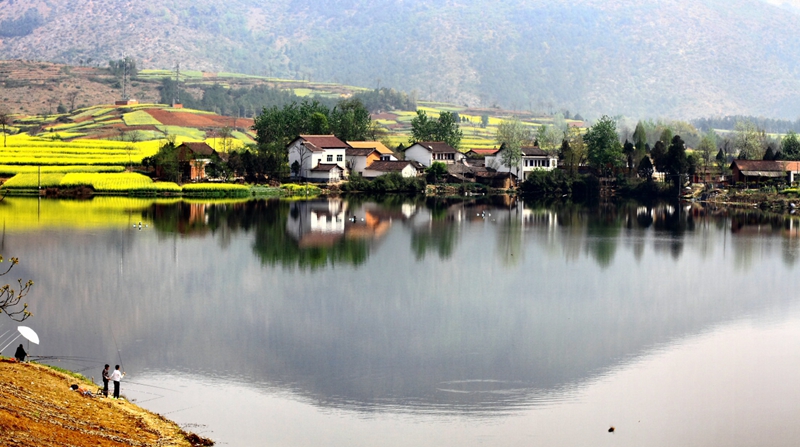 En 2015, venez à Hanzhong admirer la plus belle mer de fleurs de colza de Chine