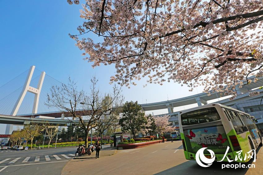 Shanghai : la plus belle station de bus en fleurs