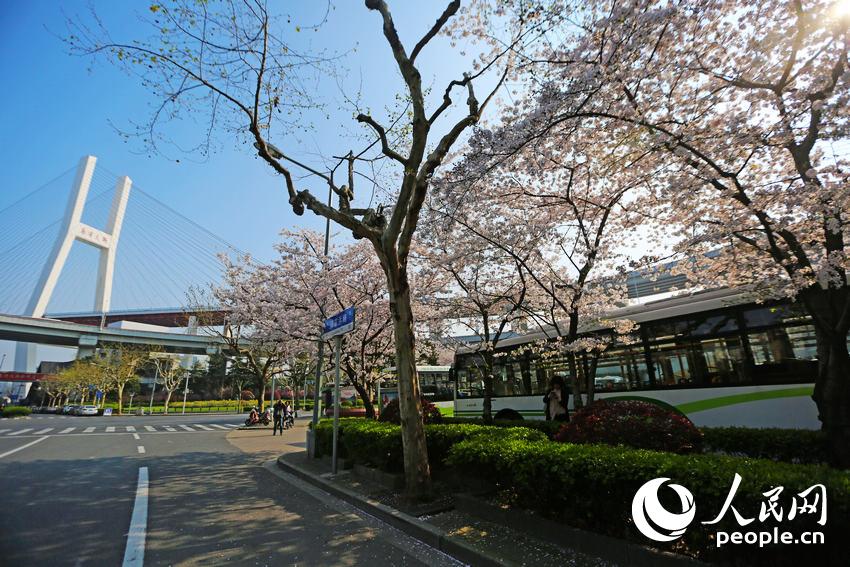 Shanghai : la plus belle station de bus en fleurs