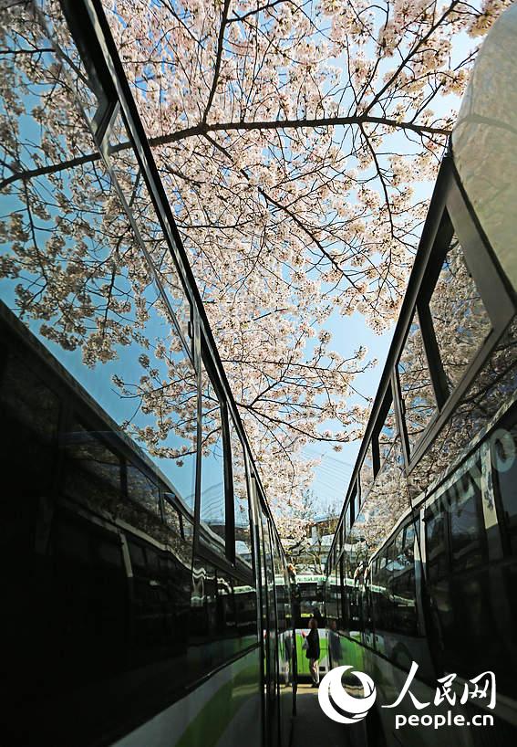 Shanghai : la plus belle station de bus en fleurs