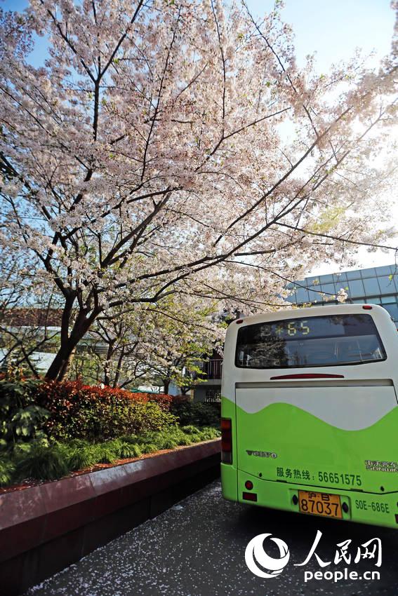 Shanghai : la plus belle station de bus en fleurs