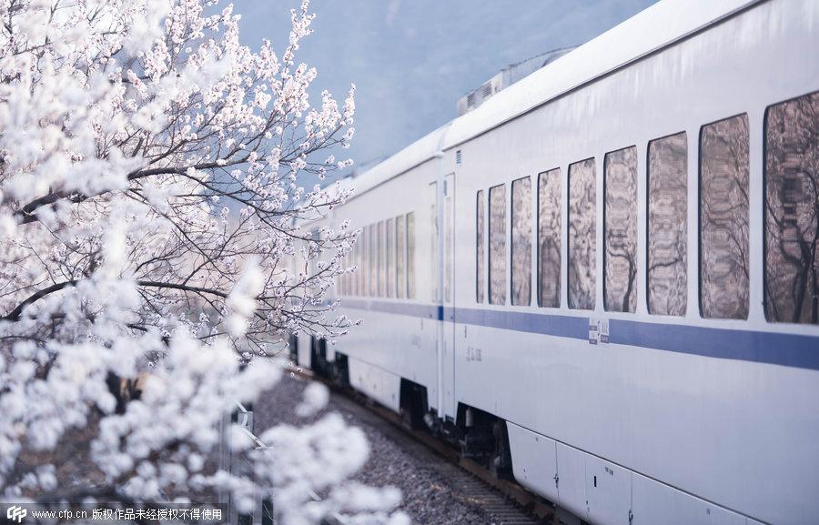 Des fleurs se reflètent sur les fenêtres d'un train. [Photo/CFP]