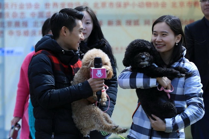 Cérémonie de mariage de groupe d'animaux de compagnie à Beijing