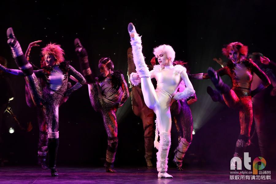 La comédie musicale "Cats" à Paris