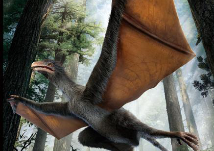 Des scientifiques chinois découvrent un « dinosaure batman »