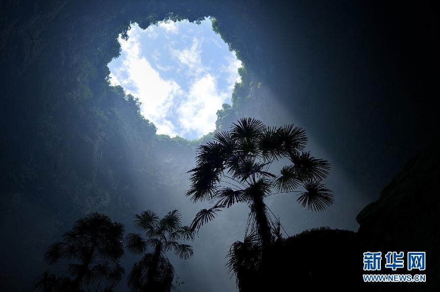 Hubei : un monde souterrain fascinant d'animaux et de plantes