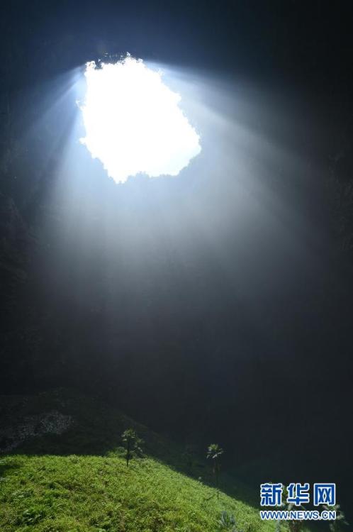 Hubei : un monde souterrain fascinant d'animaux et de plantes