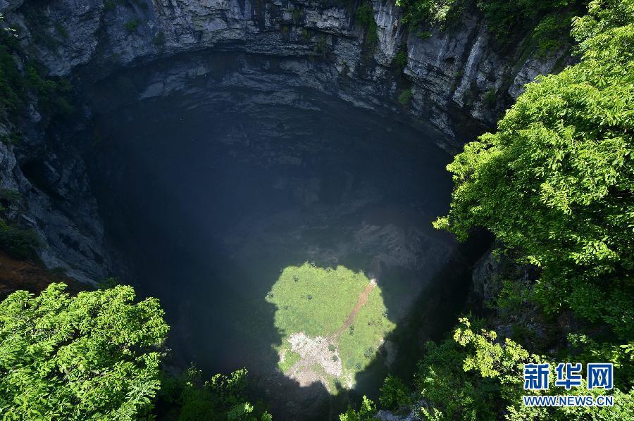 Hubei : un monde souterrain fascinant d'animaux et de plantes