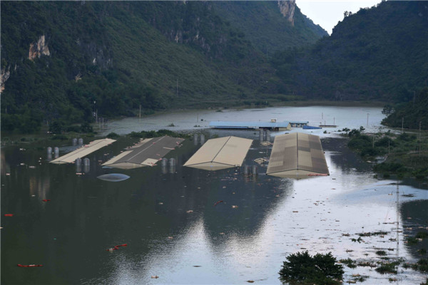 Photo : des cadavres sont aperçus à la dérive, après qu'une porcherie ait été inondée par des pluies torrentielles à Liuze dans le Guangxi, le 16 juin 2015. [Photo/Xinhua]