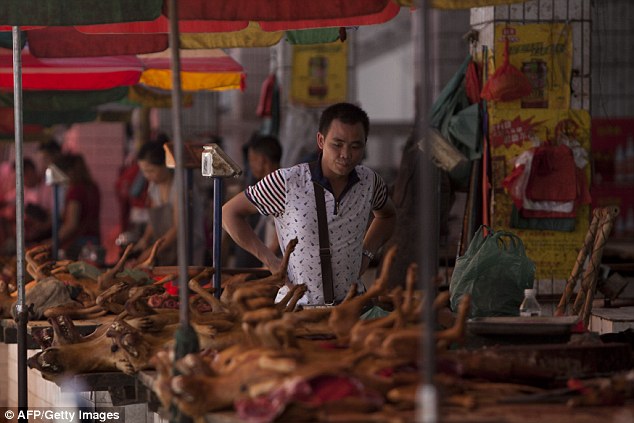 Festival de viande de chien : une Chinoise héroïque pour sauver ces petites bêtes