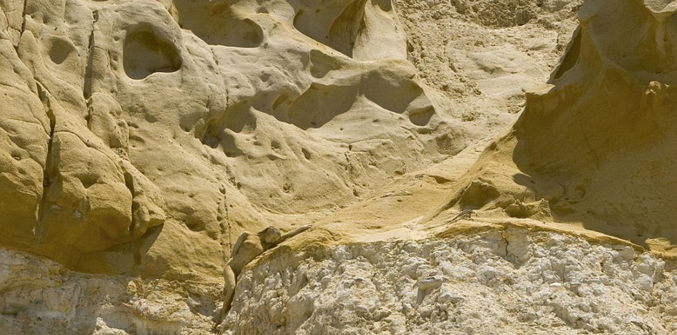 Des peintures corporelles qui s'intègrent dans l'environnement