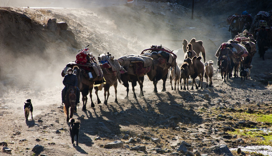 Xinjiang : les pasteurs nomades et la transition des saisons