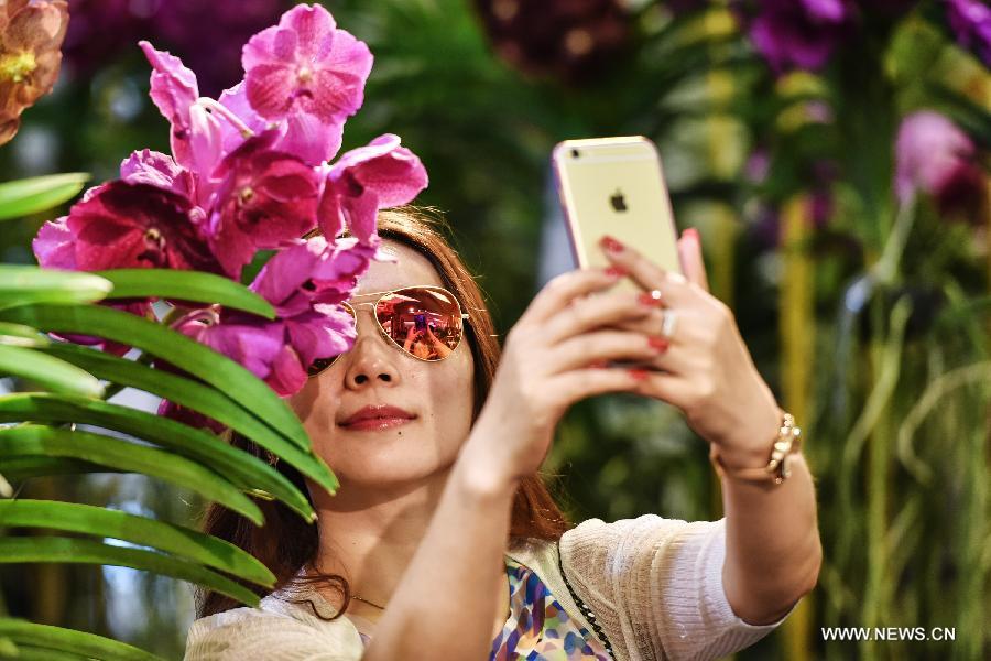 Une exposition d'orchidées débute à Bangkok