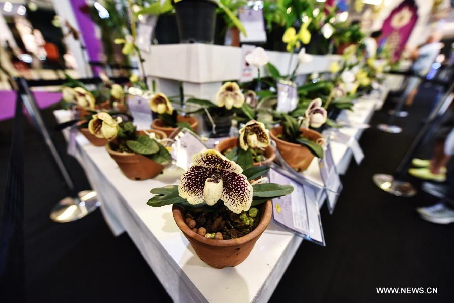 Une exposition d'orchidées débute à Bangkok